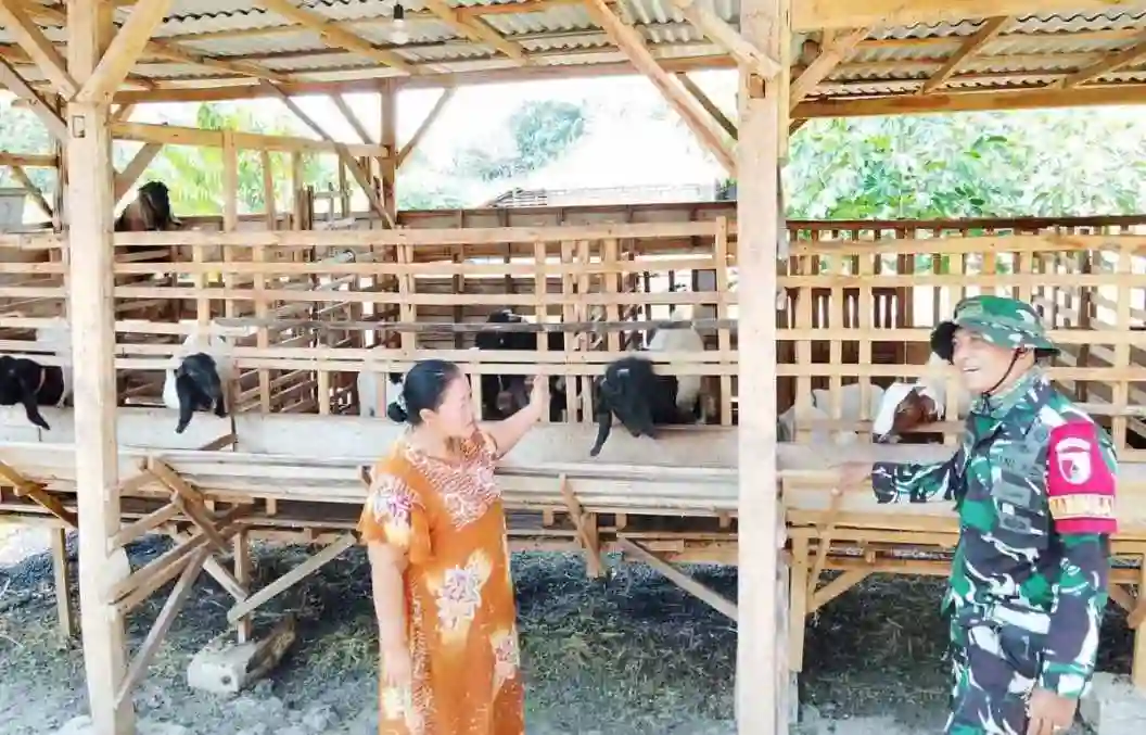 TMMD 129 Bojonegoro: Babinsa Kesongo ‘Sentuh Hati’ Peternak Kambing