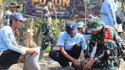 Warisan Hijau TMMD 129 Bojonegoro: Menanam Pohon, Merawat Masa Depan Desa Kesongo