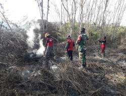 Aksi Babinsa Koramil 01/Penajam Pasca Kebakaran Lahan dan Hutan Di Sepan
