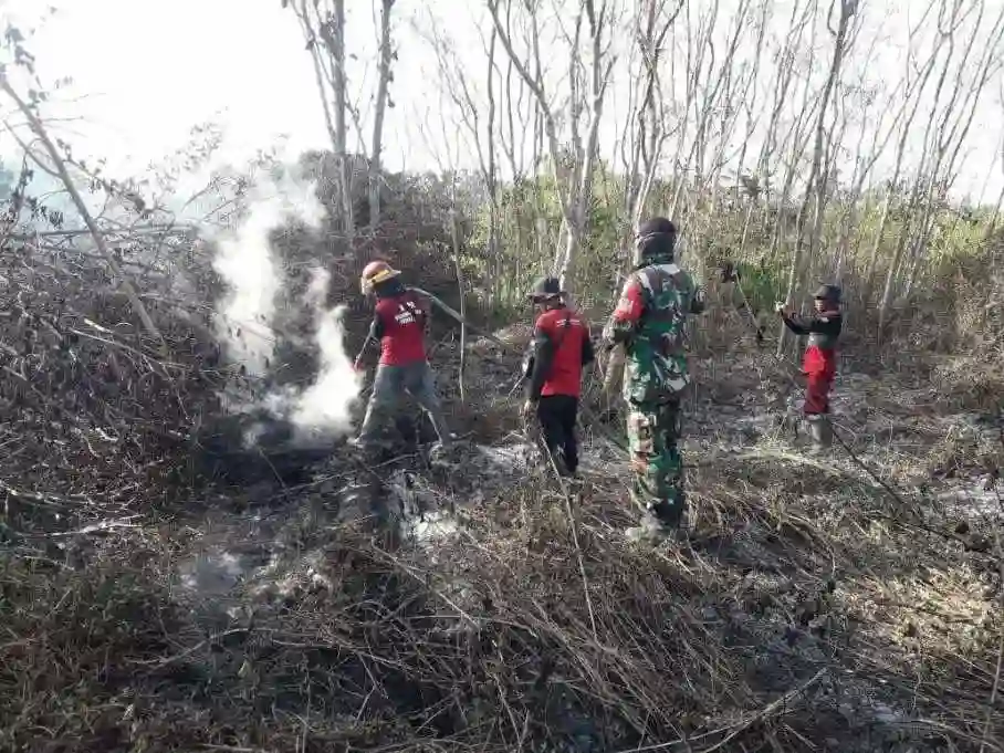 Aksi Babinsa Koramil 01/Penajam Pasca Kebakaran Lahan dan Hutan Di Sepan