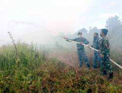 Komandan Lanud Sjamsudin Noor Pimpin Langsung Pemadaman Kebakaran Hutan dan Lahan di Kalimantan Selatan