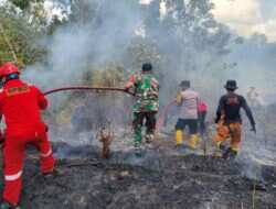 Cekatan……,Babinsa Koramil 01/Penajam Gerak Cepat Tanggani Kebakaran Lahan
