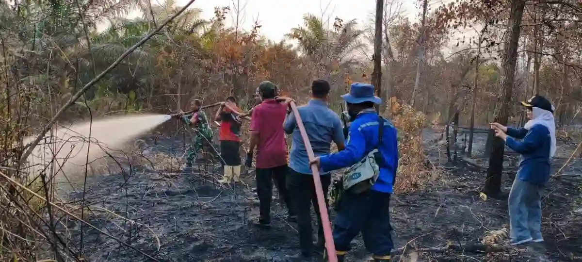 Berjibaku Malam Hari, Danramil 03/Babulu dan Babinsa Bersama Instansi Terkait Padamkan Karhutla