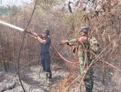 Gas Gas Gas …Babinsa Babulu Padamkan Kebakaran Lahan Gambut