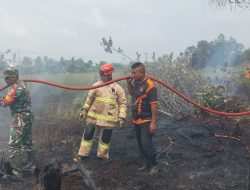 Cepat Tepat Padam, Babinsa Penajam Padamkan Kebakaran Semak Belukar