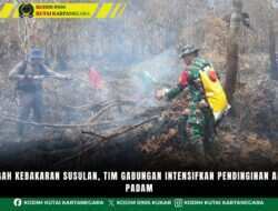 Cegah Kebakaran Susulan, Tim Gabungan Intensifkan Pendinginan Area Padam