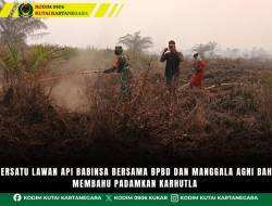 Bersatu Lawan Api Babinsa Bersama BPBD Dan Manggala Agni Bahu Membahu Padamkan Karhutla