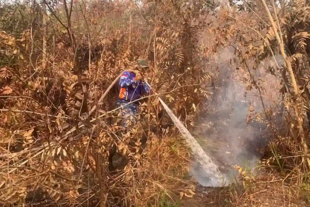 Jaga Gambut Tetap Aman, Satgas Darat Lanud Sjamsudin Noor Perkuat Pembasahan Berkelanjutan