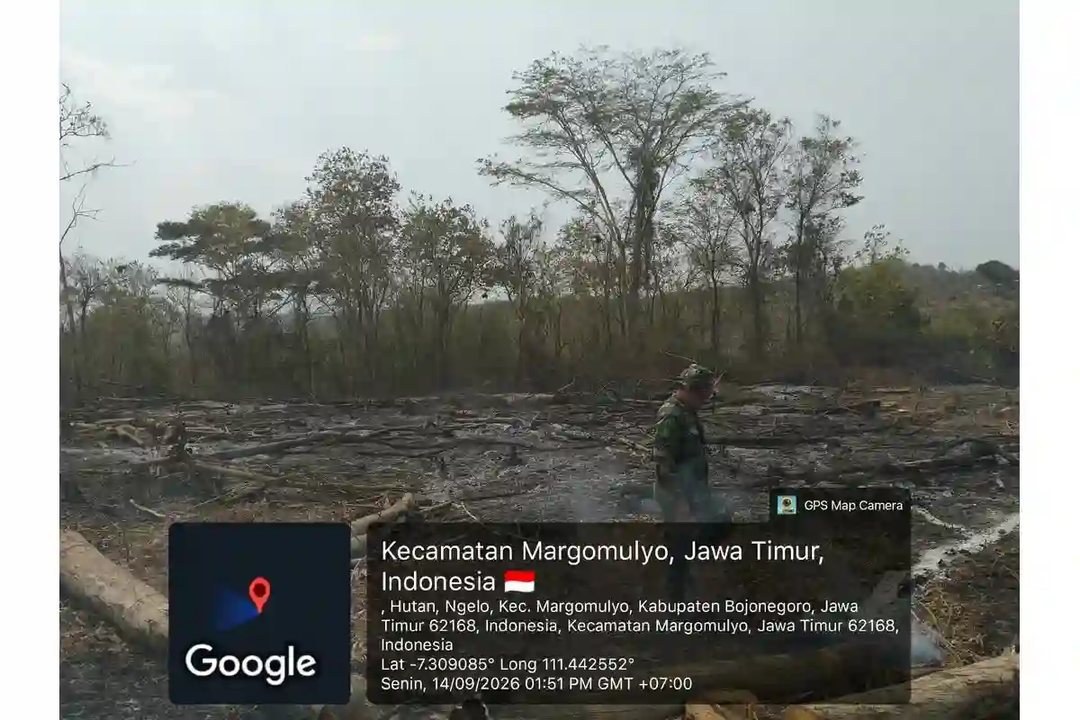 Aksi Cepat Tanggap! Babinsa Margomulyo Sisir Bekas Karhutla, Pastikan Api Benar-Benar Padam