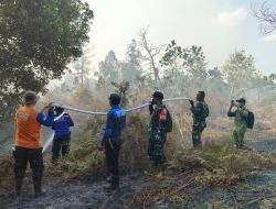 Stop Bakar Lahan, Pesan Dandim 0913/PPU Sambil Padamkan Si Jago Merah