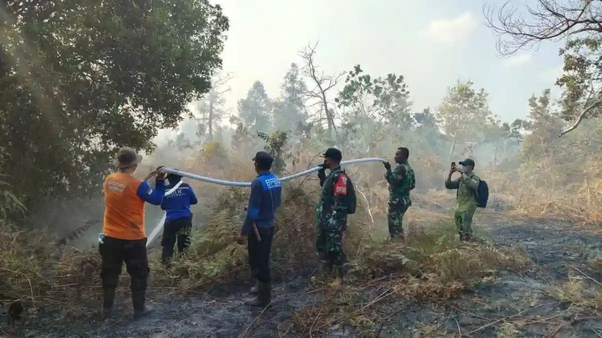 Stop Bakar Lahan, Pesan Dandim 0913/PPU Sambil Padamkan Si Jago Merah