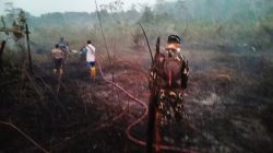 Respons Cepat Karhutla Dekat IKN, TNI Gerakkan Helikopter Caracal untuk Water Bombing