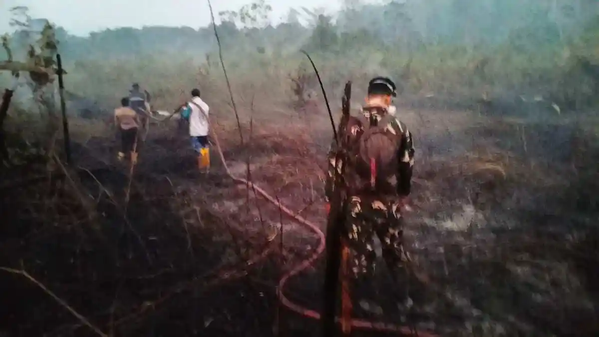 Respons Cepat Karhutla Dekat IKN, TNI Gerakkan Helikopter Caracal untuk Water Bombing