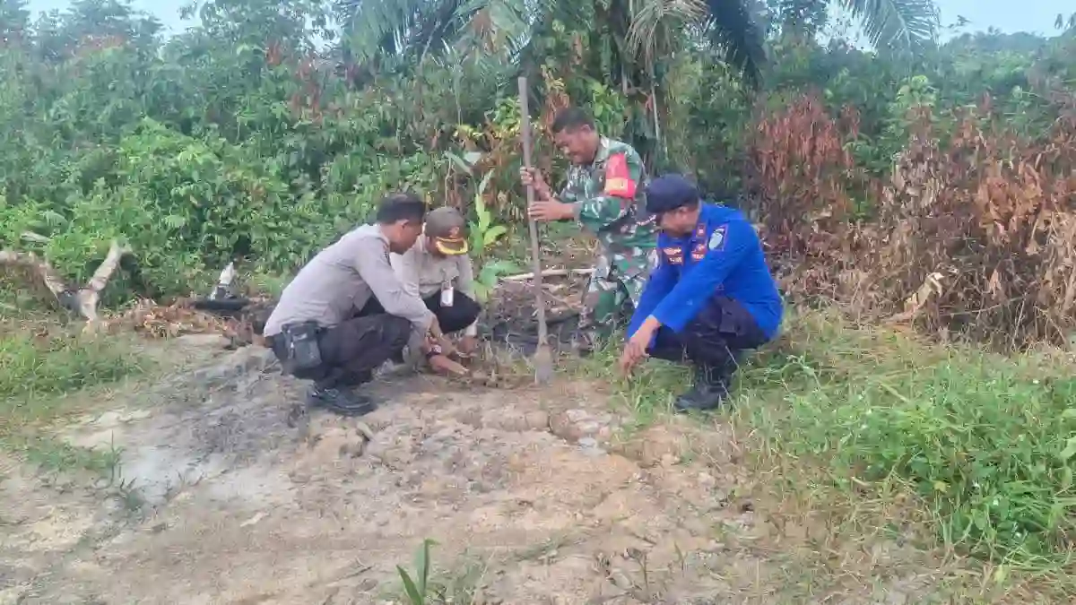 Jelang Peringatan HUT TNI ke-81,Kodim 0913/PPU Gelar Penanaman Pohon di Sejumlah Wilayah