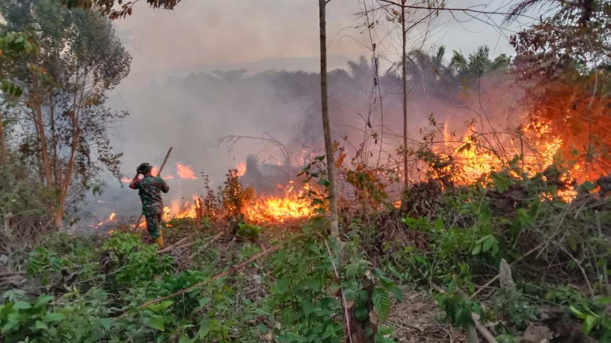 Alat Seadanya, Babinsa Koramil Sepaku Bersama Tim Damkar Padamkan Si Jago Merah