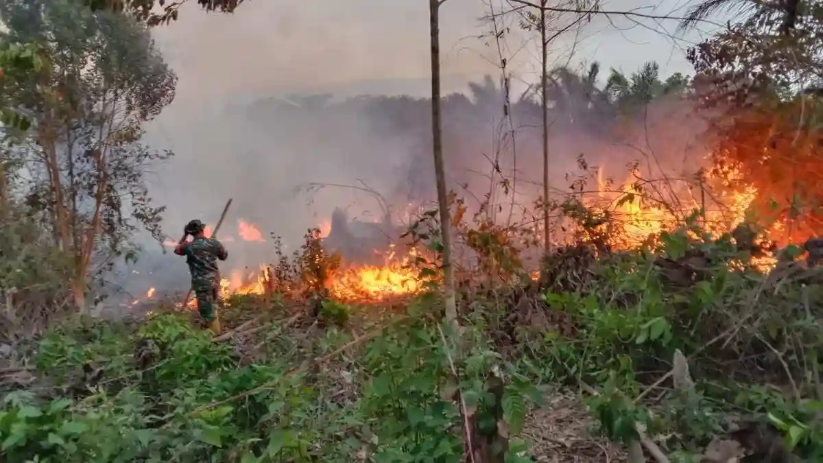 Alat Seadanya, Babinsa Koramil Sepaku Bersama Tim Damkar Padamkan Si Jago Merah