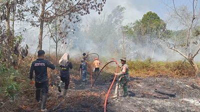 Babinsa dan Tim Damkar Gerak Cepat Padamkan Karhutla
