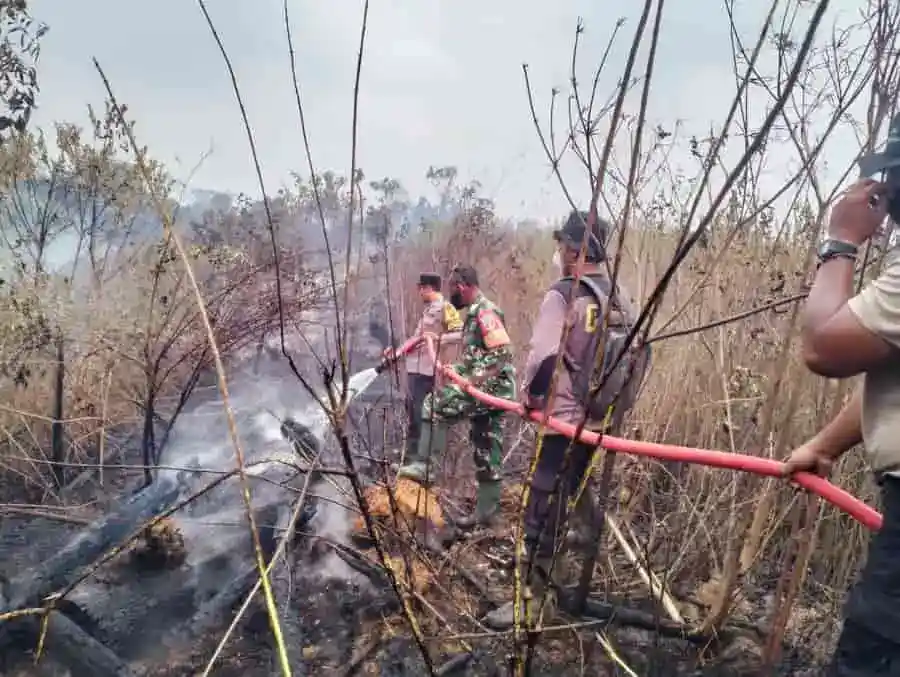 Babinsa Koramil 0913-04/Sepaku Bersama Instansi Terkait Padamkan Karhutla di Patok 28