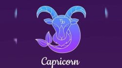 Ramalan Karier Zodiak Capricorn Jumat, 4 September 2026: Peluang Baru Mulai Terbuka