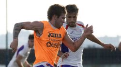 Prediksi Skor Fiorentina vs Torino di Liga Italia: Duel Sengit, Berpotensi Imbang di Stadio Franchi