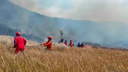 24 Kota/Kabupaten di Jatim Tetapkan Status Kedaruratan Kekeringan, Berikut Daftarnya