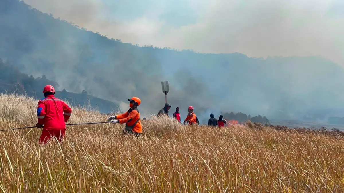 24 Kota/Kabupaten di Jatim Tetapkan Status Kedaruratan Kekeringan, Berikut Daftarnya