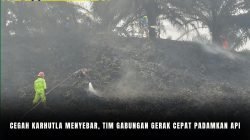 Cegah Karhutla Menyebar Tim Gabungan Gerak Cepat Padamkan Api