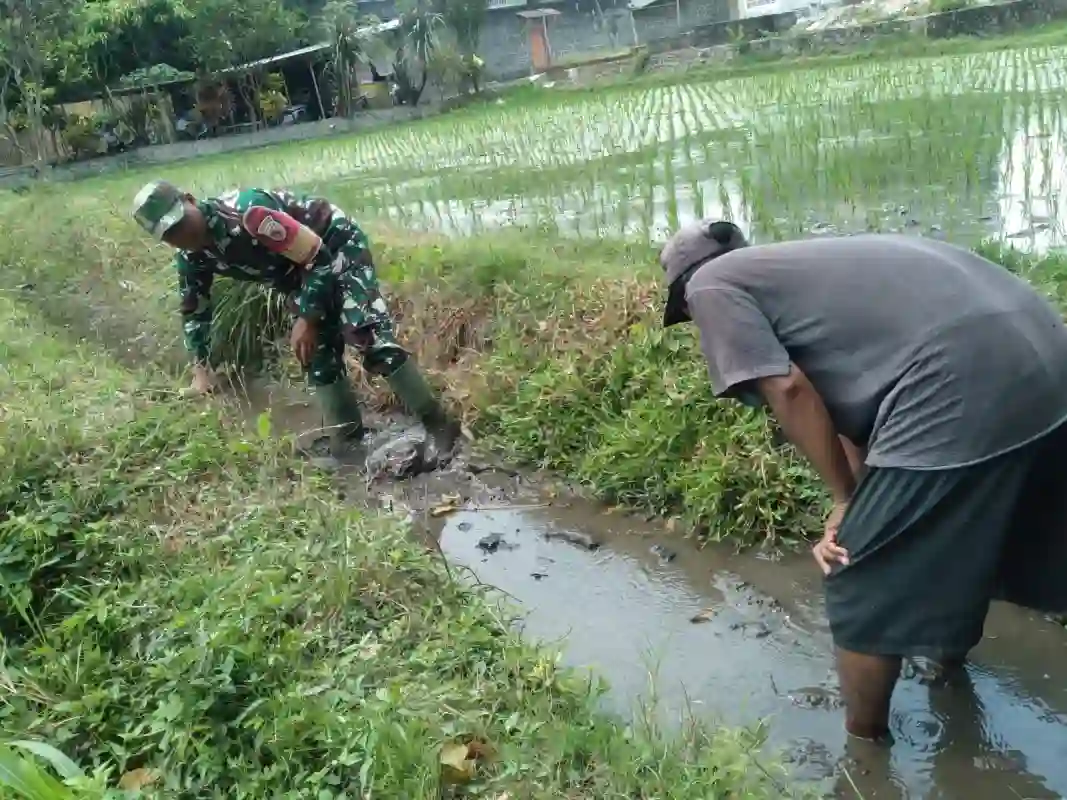 Cegah Genangan Dan Optimalkan Irigasi, Babinsa Koramil 0808/20 Sananwetan Gotong Royong Bersihkan Aliran Air Lahan Padi