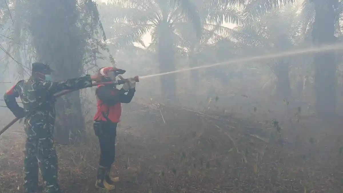 Gerak Cepat, Babinsa Koramil 0913-03/Babulu Padamkan Kebakaran Lahan