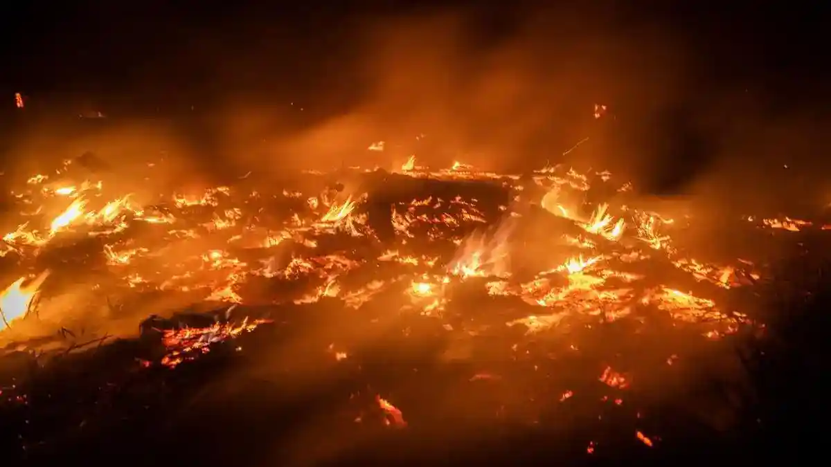 Karhutla Belum Padam, Ribuan Hektare Terdampak di Kalimantan